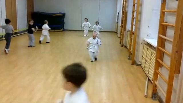 Тренировки каратэ для детей 4 х лет