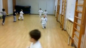 Тренировки каратэ для детей 4 х лет