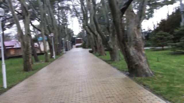 Геленджик. Погода 13 февраля 2018 г. Санаторий Голубая Волна. Часть 1 смотреть онлайн