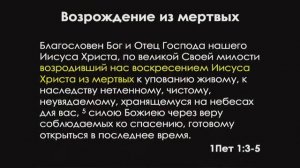 Проповедь: "Возрождающее воскресение" (Алексей Коломийцев)