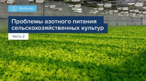 ПРОБЛЕМЫ АЗОТНОГО ПИТАНИЯ СЕЛЬСКОХОЗЯЙСТВЕННЫХ КУЛЬТУР. ЧАСТЬ 2.