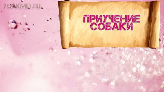 лежаки для собак средних пород недорого с Алиэкспресс