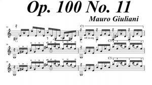 Mauro Giuliani Op. 100 No. 11 Allegro in A minor