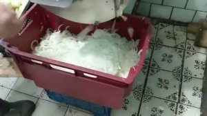 Шинковка лука, нарезка лука кольцами, промышленная овощерезка  Vega Carrot Shredder