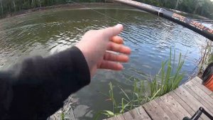 Как быстро поймать трофейного Карпа на Флет.