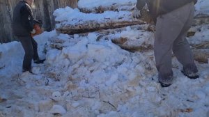 Как быстро распилить 10 кубов дров бензопилой, за 6 часов.