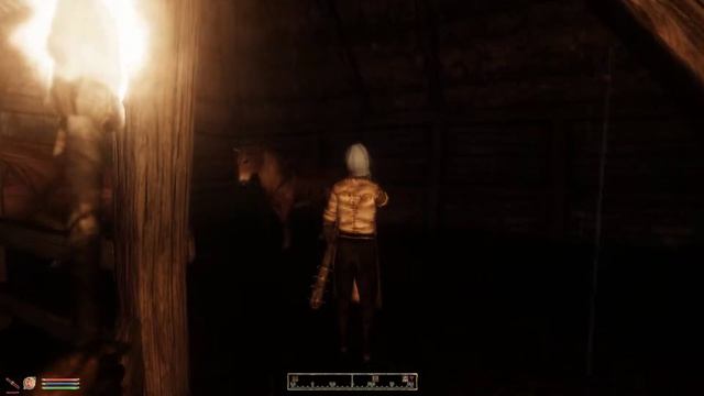 Elder Scrolls IV Oblivion лучшая сборка смотреть онлайн