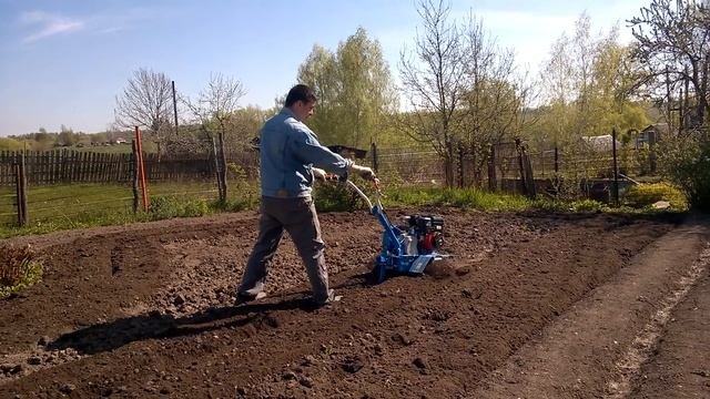 Мотоблок Нева мб-2, весенняя вспашка фрезами.Одной рукой. #мотоблокнева , #вспашка