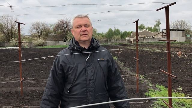 Весенняя подкормка и полив винограда смотреть онлайн