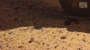 Марсоход ПЕРСЕВЕРАНС снял некое существо которое сидя на камнях смотрело  на марсоход.