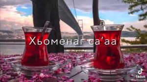 йолахьа дагна езнарг❤