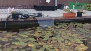 Излив для пруда с RGB подсветкой