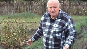 Бублик Б.А. Джунгли на грядке - Что сеет 🌱и садит 🍅 Борис Андреевич- Огород без хлопот