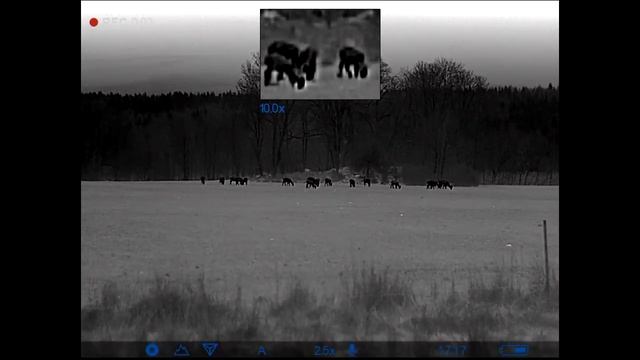 Pulsar Helion 2 XP50 Pro - Thermal Imaging 2022 смотреть онлайн