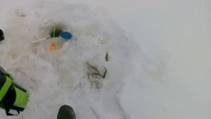 На мотобуксировщике за рыбой.Зимняя рыбалка 2022г.