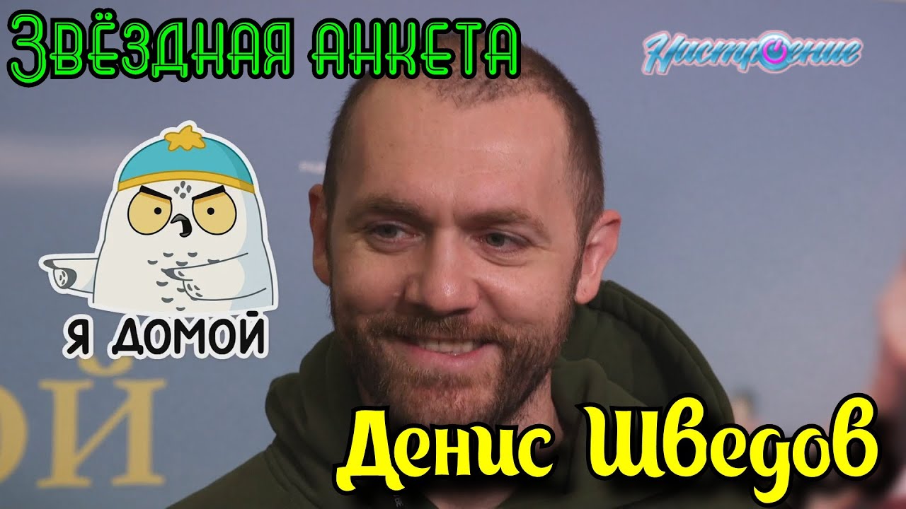 Звёздная анкета: Денис Шведов