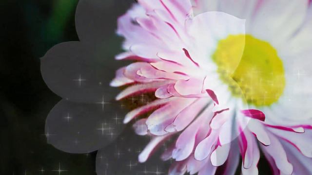 Успокаивающая музыка лечит болезни сердца и полезна для сосудов 🌿 Музыка полезна и полезна для душ смотреть онлайн