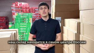Елки оптом от производителя