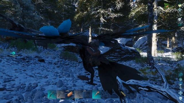 Почему их так МАЛО на Карте? Поиск Анкилозавра! ARK Survival Ascended смотреть онлайн