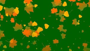 Осенние листья | осень | листопад | leaves | хромакей | зеленый фон | green screen | ФутаЖОР