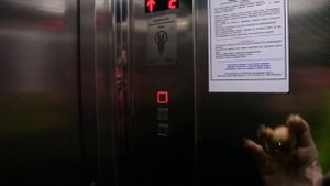 Практическое занятие по профессии «Лифтер»