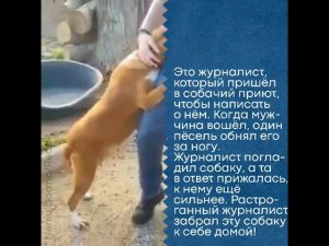 Трогательный эпизод из жизни одного журналиста