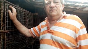 количество щенков приплода у нутрий