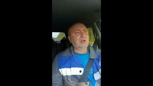 Пищевые отходы в рационе кур. Стоит ли давать, как и какие?
