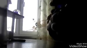 Обзор бинокля-OLYMPUS 10×21 первый взгляд!