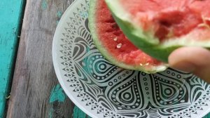 #огорододача 31.07.2021 Арбузище :) Рафинад непривитый, маленький, но очень сладкий. московская обл