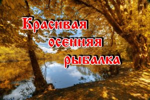 Красивая осенняя рыбалка.mp4