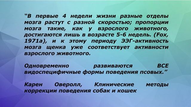 КАК ПРАВИЛЬНО ВЫКОРМИТЬ ЩЕНКА или КОТЕНКА // Факты, о которых все молчат!!! смотреть онлайн
