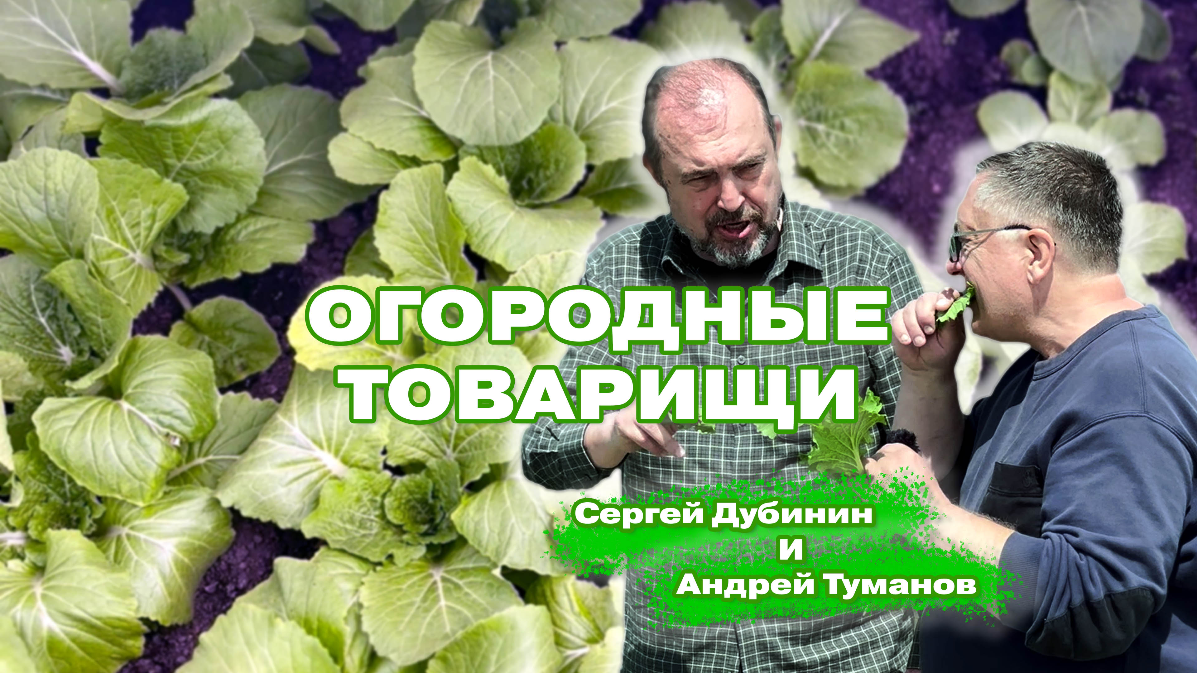 "Огородные товарищи" и очень ранняя капуста в Подмосковье!