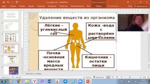 Как из организма удаляются ненужные вещества