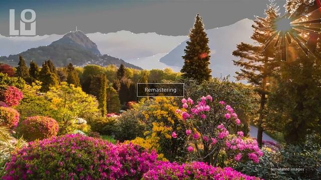 СН. Sony BRAVIA, Swatch Group, iPhone 6 32, Samsung Galaxy S8 смотреть онлайн