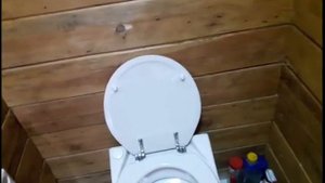 электрический туалет