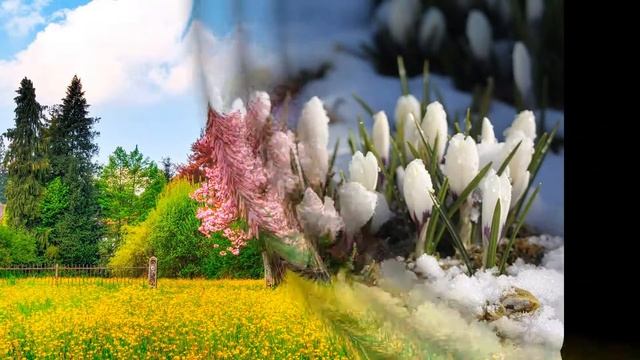 Поздравление с 8 марта всех женщин. смотреть онлайн