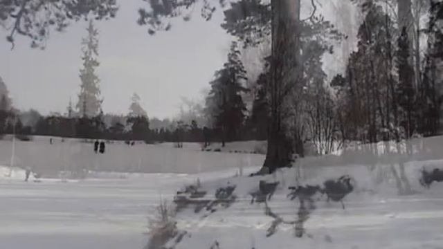 Зима.avi (Автор музыки, и видео -Юна Наум) смотреть онлайн