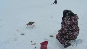 Ершики на оке снегоход пегас