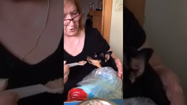 Мама кормит Чарлика смотреть онлайн