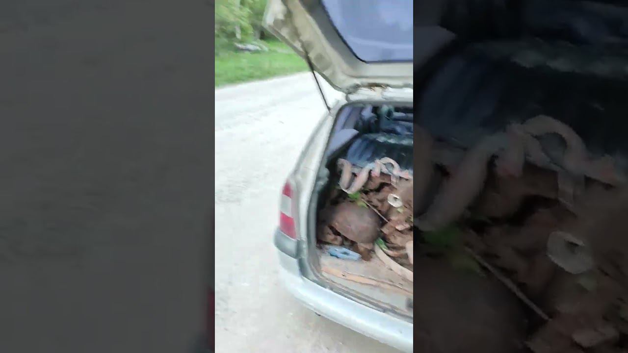 #металокоп #quest Кто ищет,тот всегда найдёт. смотреть онлайн