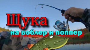 Щука на воблер и поппер