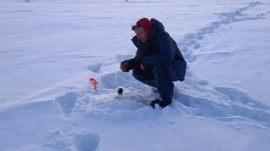 Зимняя рыбалка на Рипуса. Увильды. Урал.