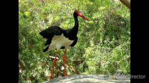 Заповедник "юганский"