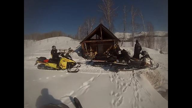 Нашли жизнь в лесу! 30 км от деревни , в горах! смотреть онлайн