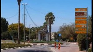 Группа Батерфляй и трио Амарант