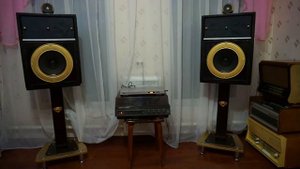 Hi -End акустика КИНАП 2*100Вт. Возрождение.   Регина  - Я ехала домой