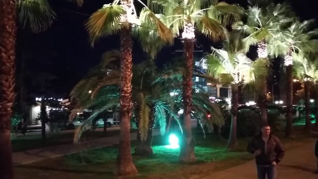 Необычная подсветка на высоких пальмах (Сочи-3 января 21 г.) смотреть онлайн