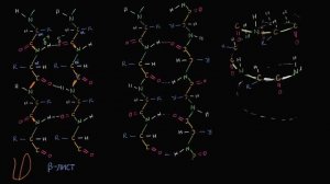 Обзор структуры белка (видео 10) | Макромолекулы  | Биология