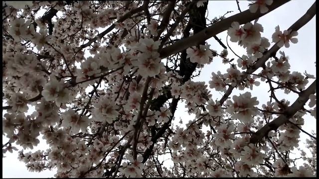 Тапольца-Хевиз-Шумег-Балатон